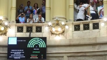El Senado aprobó la Ley Lucio de manera unánime.