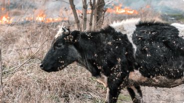 El hecho fue calificado como "el incendio de granja más mortífero" en la historia de Estados Unidos.