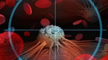 El medicamento amplía las opciones terapéuticas para el tratamiento de dos tipos de cáncer en estadio avanzado..