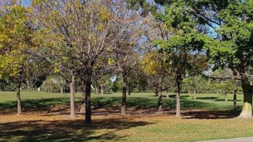 El predio del Scalabrini, asediado por motochorros.