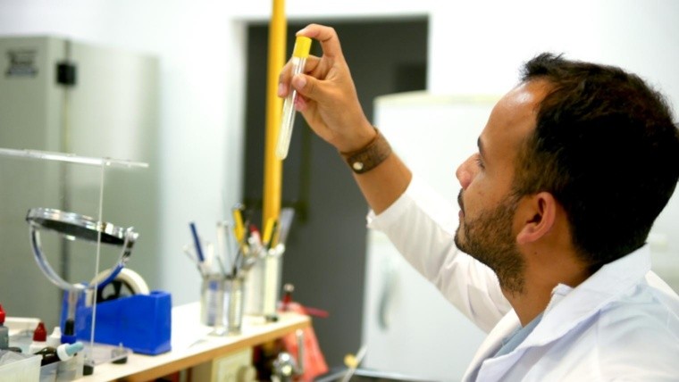 Apolo Biotech, una startup con base en Santa Fe que se dedica a la investigación biotecnológica del ARN de las plantas