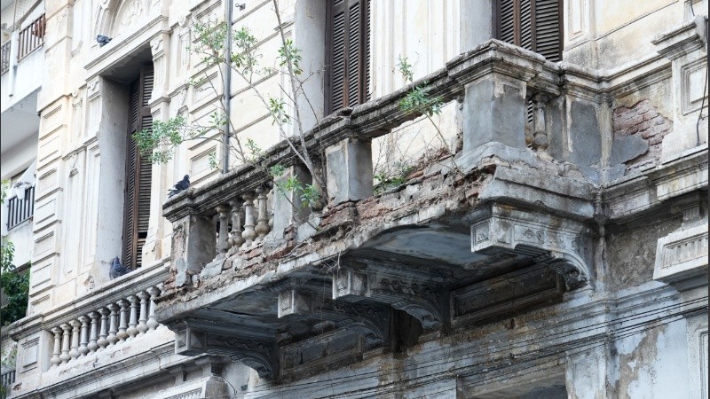 Balcones con arbolitos, una combinación que exhiben algunos edificios viejos del centro. 