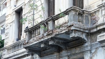 Balcones con arbolitos, una combinación que exhiben algunos edificios viejos del centro.