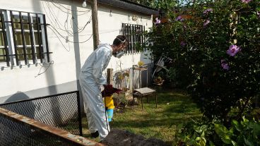 Fumigación en casas particulares de Rosario