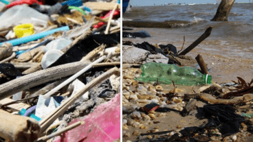 Este descubrimiento marca un gran avance en los esfuerzos por eliminar los residuos.