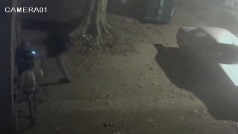 La cámara de un comercio de la cuadra registró el hecho. 