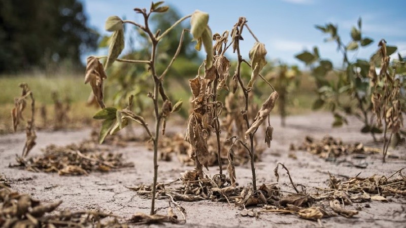 Un ingeniero del INA manifestó que todavía prima la 