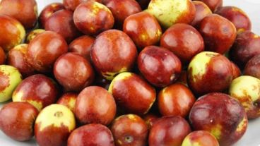 El hecho se dio días antes de los comicios en los que buscaba la reelección.