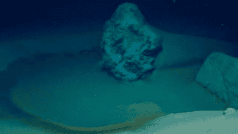 Las imágenes muestran una colección de misteriosas formaciones de bacterias.