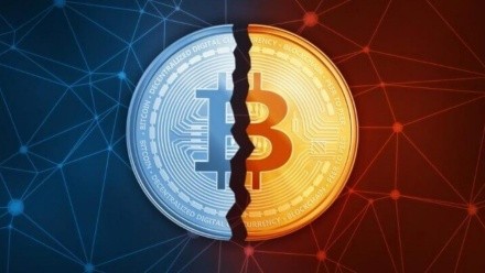 Halving Criptomonedas