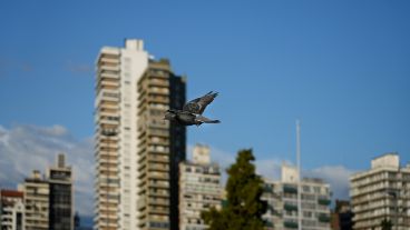 Salió el sol y los rosarinos y rosarinas salen a disfrutarlo