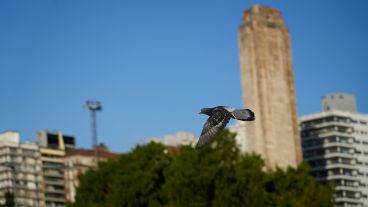 Salió el sol y los rosarinos y rosarinas salen a disfrutarlo