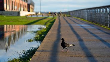 Salió el sol y los rosarinos y rosarinas salen a disfrutarlo