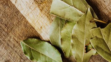 Una gran opción para llevar adelante luego de la rutina diaria