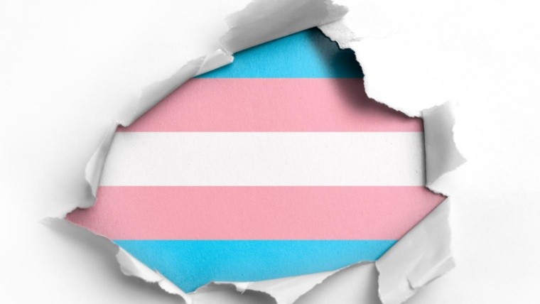 Drei: ofrecen bajar el impuesto a quienes contraten personal trans