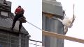 Video: así fue el operativo de bomberos para rescatar a un búho atrapado en un edificio en pleno centro