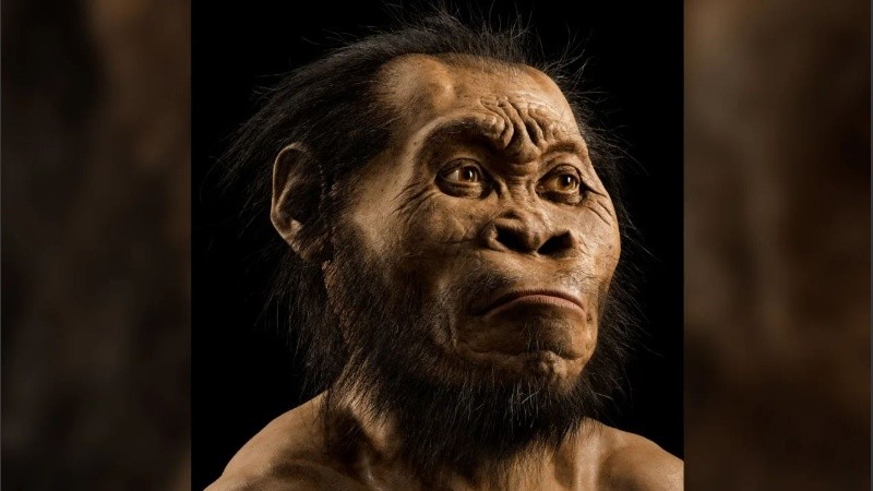Una reconstrucción del Homo naledi hecha por el paleoartista John Gurche.