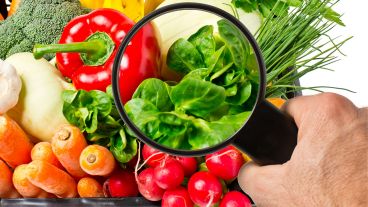 La fecha es celebrada por quinto año consecutivo