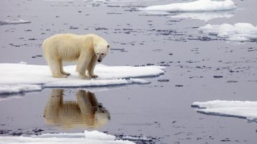 El cambio climático sería el factor fundamental que amenaza la vida en la Tierra tal como la conocemos.