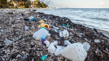 El 5 de marzo de este año, los estados miembros de la de la ONU llegaron a un acuerdo para proteger el 30% de las aguas internacionales —que hasta ahora no se encontraban bajo ninguna normativa— para 2030.