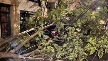 Se trata de una Fiat Toro color bordó.
