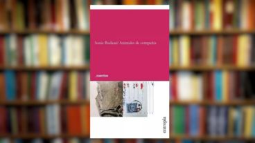 Portada del libro "Animales de compañía", de Sonia Budassi.