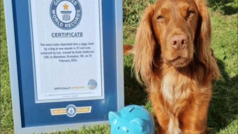 La publicación compartida en Instagram acumuló miles de 