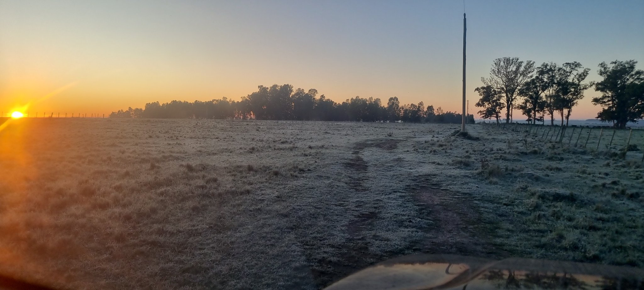 Una postal que se repite en muchos campos del país (Foto: @JuanDellapiazza)