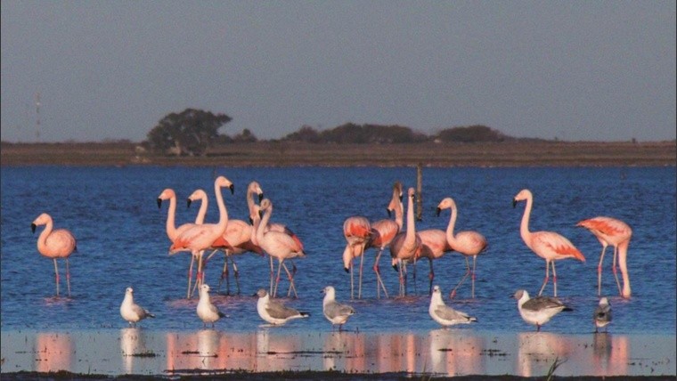 Finde XXL: 5 escapadas cerca de Rosario para aprovechar el fin de semana largo 