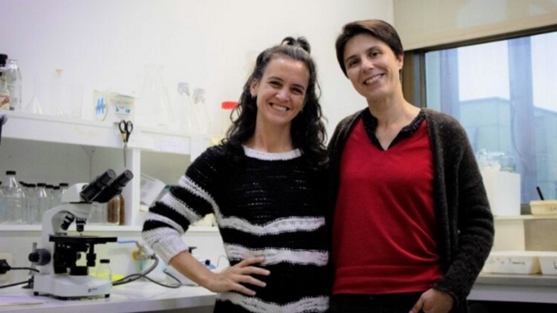 Las investigadoras María Natalia Lisa e Irina Suárez del Instituto de Biología Molecular y Celular de Rosario.