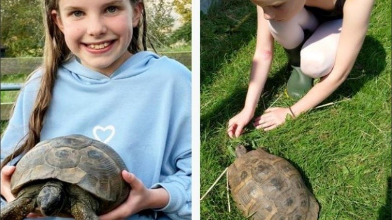 Jemima se reencontró con su amiga tortuga Georgina.