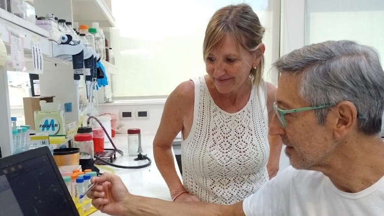 Científicos rosarinos dan el salto para encontrar soluciones a las enfermedades neurodegenerativas 