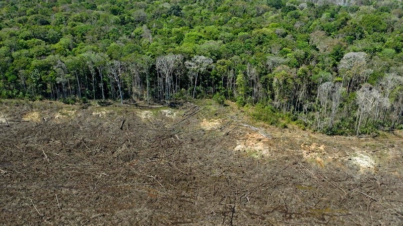 La deforestación en Brasil aumentó un 15% en 2022 con respecto al año anterior.