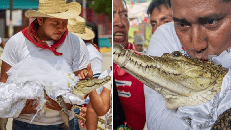 El animal de siete años representa una deidad vinculada a la madre tierra.