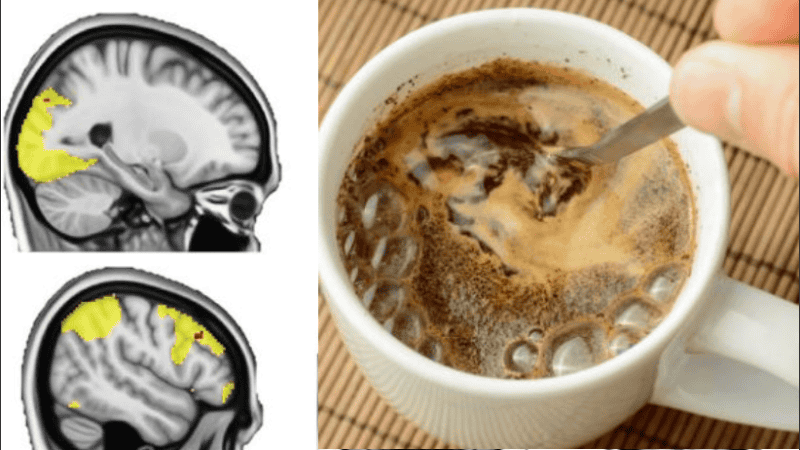 Preveen analizar las diferencias individuales en la absorción de cafeína.