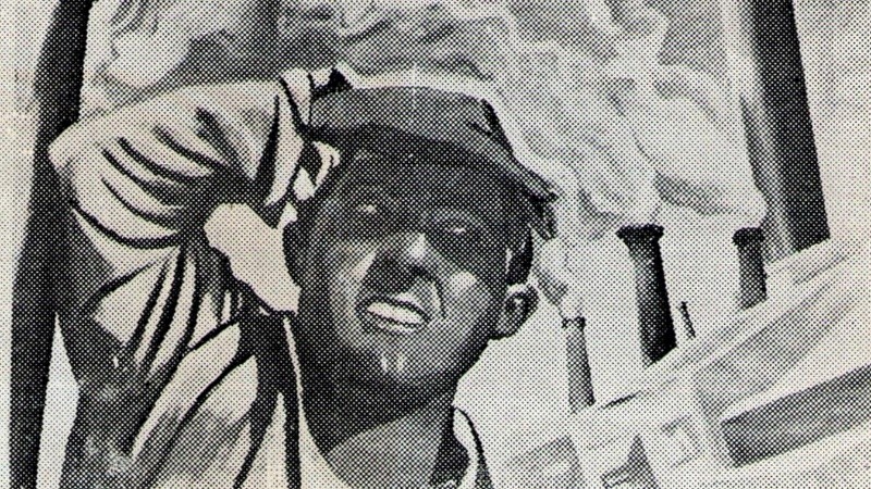 Imagen ilustrativa de la muestra 