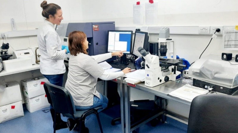 Hasta ahora, el cross-match por citometría de flujo se derivaba a un laboratorio ubicado en otra ciudad.