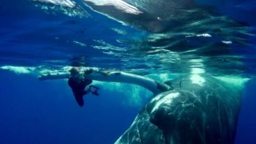 "Realmente son altruistas, a veces a riesgo de perder sus vidas", explicó.