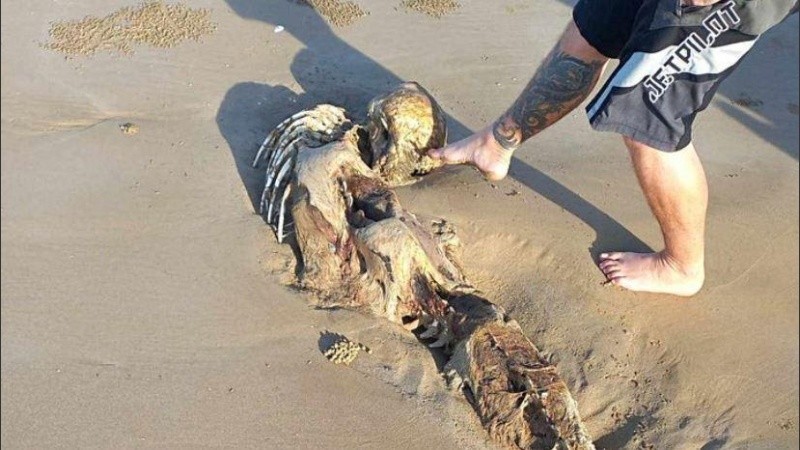 La identidad de los restos aún es un misterio.