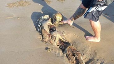 La identidad de los restos aún es un misterio.