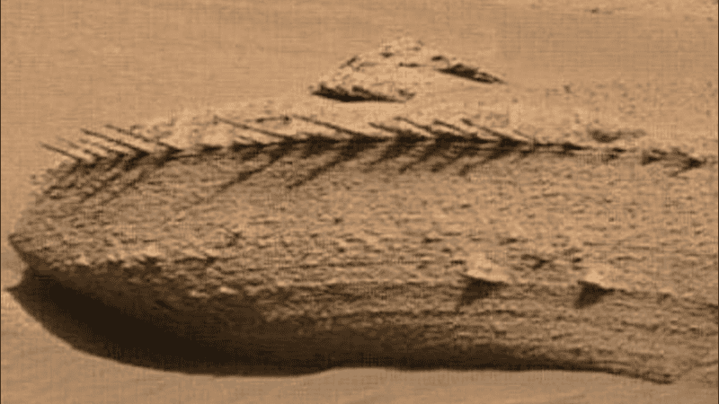 Pensaron que era un fósil, luego marcas de ruedas y ahora un posible impacto alienígena.