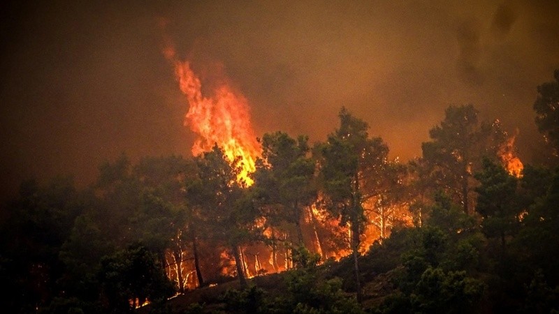 Grecia vive desde hace días una ola de calor extremo que desató incendios en diferentes regiones.