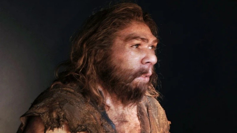 Los fragmentos de proteínas recién identificados de los neandertales tienen poderes para combatir las bacterias.