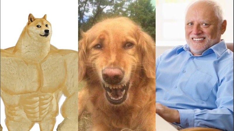 Algunos de los memes utilizados por los usuarios.