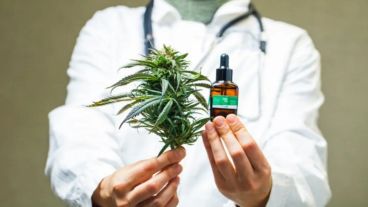 Las licencias que sean otorgadas durarán cinco años hasta su renovación, y se espera generar 10 mil puestos de trabajo.