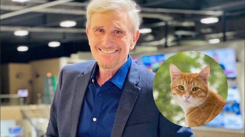  “Si eres cabrito mantente frito, si eres gato salta del plato”, recordó.