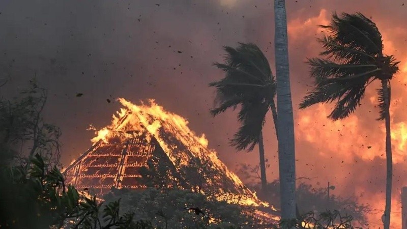 “Acabamos de pasar por el peor desastre que he visto en mi vida. Todo Lahaina está reducido a cenizas. Es como un apocalipsis”.