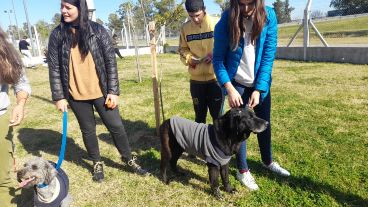 Se podrá conocer el predio donde se encuentran los perros listos para su adopción.