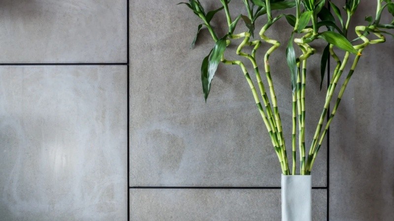 Según este sistema filosófico, existen zonas estratégicas para colocar floreros o macetas con bambú