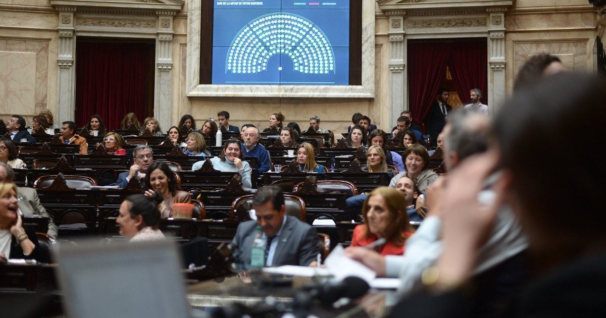 Diputados dio media sanción y envió al Senado la reforma de la ley de ...